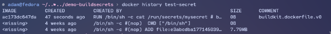 docker history good secret hiding